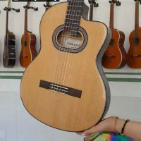 انواع گیتار پیکاپ دار (پیکاپدار) اورجینال