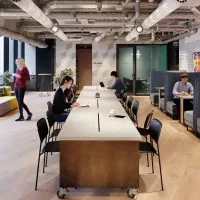 دنبال کار هستم خانم