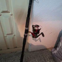 لنسر درجه یک