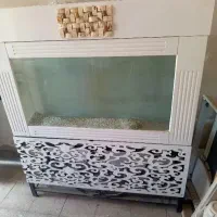 اکواریم عمق ۴۰ در طول ۸۵ ارتفاع  ۷۵