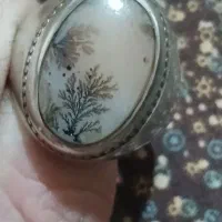 شجر|کلکسیون اشیاء عتیقه|اردبیل, |دیوار