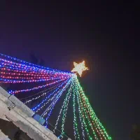 ریسه علیرضا