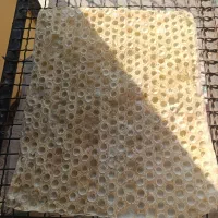 فروش دستگاه نانوایی روتاری