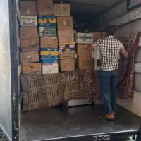 اساس کشی نظافت منزل محل کار|خدمات حمل و نقل|حمیدیا, |دیوار