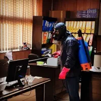 خدمات سمپاشی با مجوز سم پاشی منزل حشرات