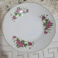 بشقاب غذا خوری و دیس گل سرخی