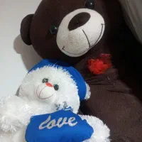 دوعددعروسک خرسی