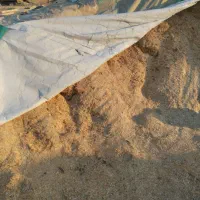 فروشی کاه گندم درجه 1 در جراحی است