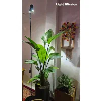 چراغ رشد گیاه مگنتی لایت میژن مدل sunrise 30 watt|لامپ و چراغ|تهران, شهید رجایی|دیوار