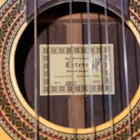 گیتار Esteve|گیتار، بیس، امپلیفایر|تهران, اقدسیه|دیوار