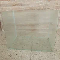 آکواریوم شرکتی