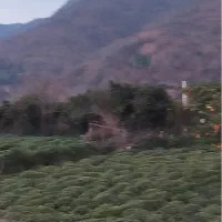 زمین جنگسرا چشم انداز۳۶۰ درجه کامل جواز ساخت دارد|فروش زمین و ملک کلنگی|چابکسر, |دیوار