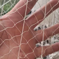 ماشک ماهیگیری|ماهیگیری|رشت, لاکان شهر|دیوار