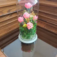 گل رز