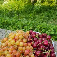 اجاره ویلا دوخوابه زیبا درکلیبر|اجارهٔ کوتاهمدت آپارتمان و سوئیت|کلیبر, |دیوار