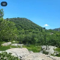 فروش باغ|فروش زمین و ملک کلنگی|بیلوار, |دیوار