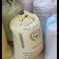 خاک گوسفند ۱۰ گونی به بالا