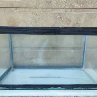 آکواریوم|ماهی|کازرون, |دیوار