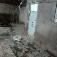 ۱عدد تور ماهی گیری|ماهیگیری|اردبیل, |دیوار