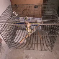 قفس پرنده بزرگ