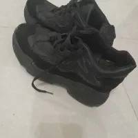 ۸ جفت کفش زنانه|کیف، کفش، کمربند|مشگین شهر, |دیوار