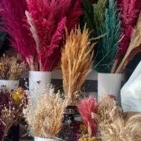 وسایل کامل گلفروشی در ماکو