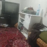همخونه-میشم