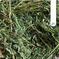 یونجه|حیوانات مزرعه|نورآباد, |دیوار