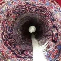 قالیشویی سید جمال تحویل48ساعته توس کوی امیر|خدمات نظافت|مشهد, نوده|دیوار