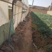 اجاره گلخانه سازه ۲۵۰۰ متر اب برق گاز اب شیرین|اجارهٔ دفتر صنعتی، کشاورزی، تجاری|ری, |دیوار