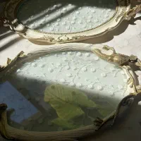 سینی خاص و زیبا