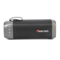 اسپیکر شارژی فلش/بلوتوث پلمپ