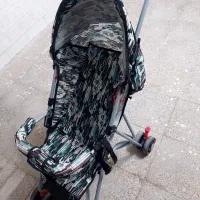 کالسکه عصایی