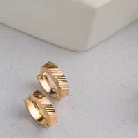گوشواره گم شده