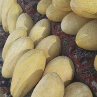 خریدار ،پالیز خربزه در حد ۳ تا ۵ هکتار