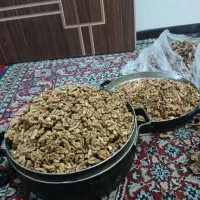 مغزگردو تازه تازه فارسان