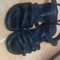 کفش تابستانی و اسپرت