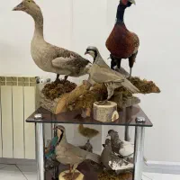 مجسمه و ماکت دست ساز طبیعی