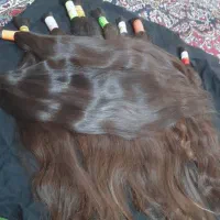 فروش(خریدار(مو)رنگی وخام