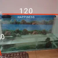 آکواریوم بزرگ