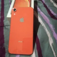 اپل iPhone XR با حافظهٔ ۶۴ گیگابایت|موبایل|مشهد, شاهد (شهرک غرب)|دیوار