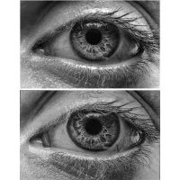 آموزش طراحی و سیاه قلم از صفر تا صد اصولی و تضمینی|خدمات آموزشی|ساوه, |دیوار