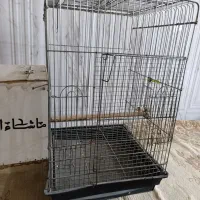 قفس|لوازم جانبی حیوانات|ایرانشهر, |دیوار