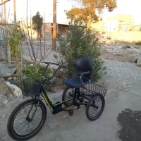 سه چرخه بزرگسالان|دوچرخه، اسکیت، اسکوتر|کرج, شهرک رازی (حصارک)|دیوار