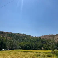 مغازه-اجاره-ای