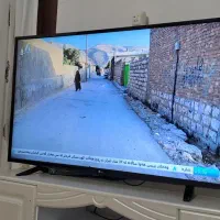 49 اینچ نو کره ای الج ی|تلویزیون و پروژکتور|لردگان, |دیوار