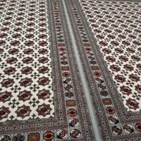 فرش ۹متری ۱۰۰۰شانه هلال البرز پنج ولایت|فرش|آق قلا, |دیوار