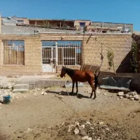 فروش-یاتعویض-خانه-ویلایی-امرودک-با-مشهد