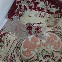 فرش ۳ در ۴|فرش|مشهد, کاظم آباد پنجشنبه|دیوار