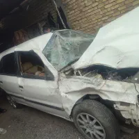 سمند تصادفی